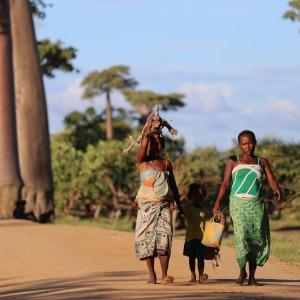 Reshaping development pathways in LDCs 2019
