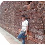 Rakesh Raut