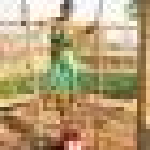 Proposal image