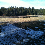 Proposal image