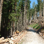Proposal image