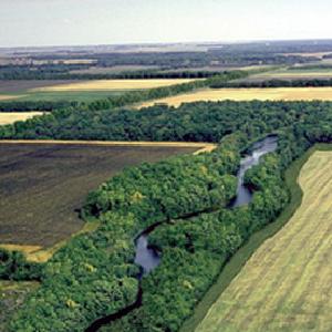 Proposal image