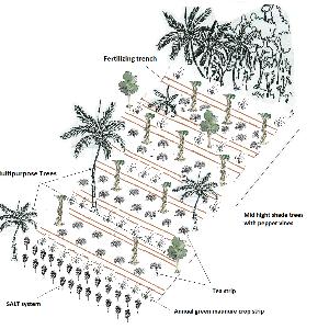Proposal image